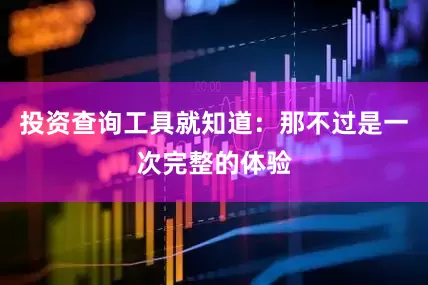 投资查询工具就知道：那不过是一次完整的体验
