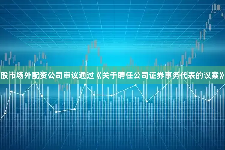 股市场外配资公司审议通过《关于聘任公司证券事务代表的议案》